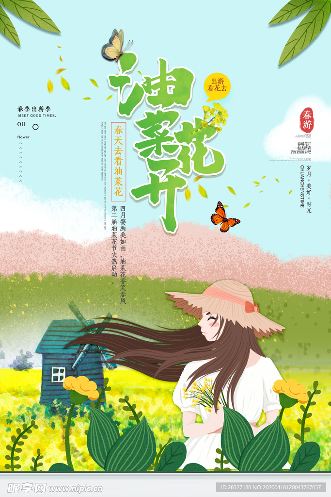 油菜花