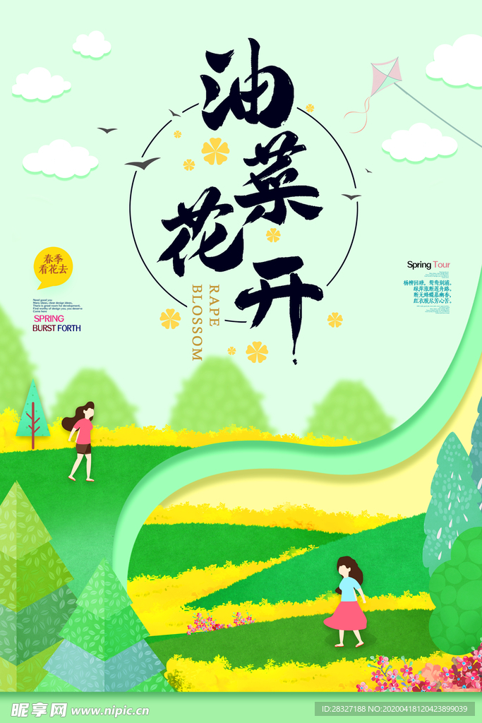油菜花