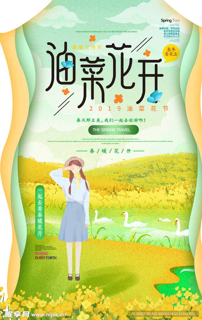 油菜花