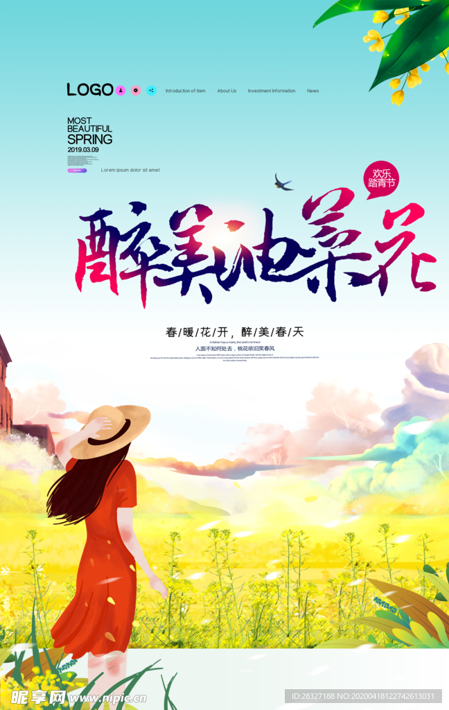 油菜花