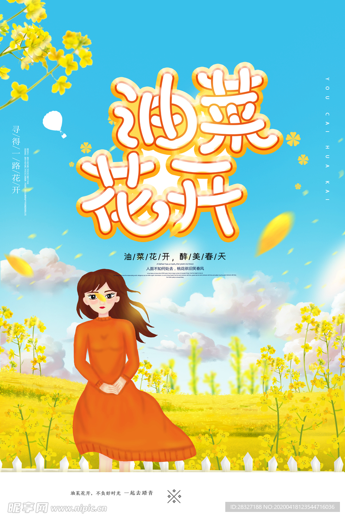 油菜花