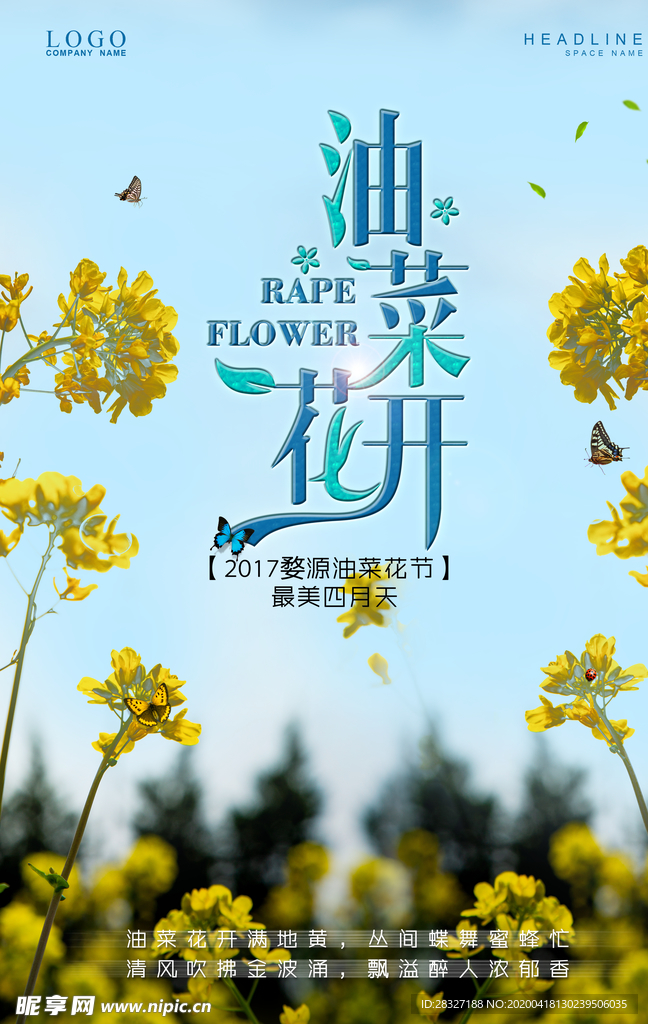 油菜花
