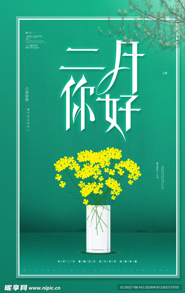 油菜花