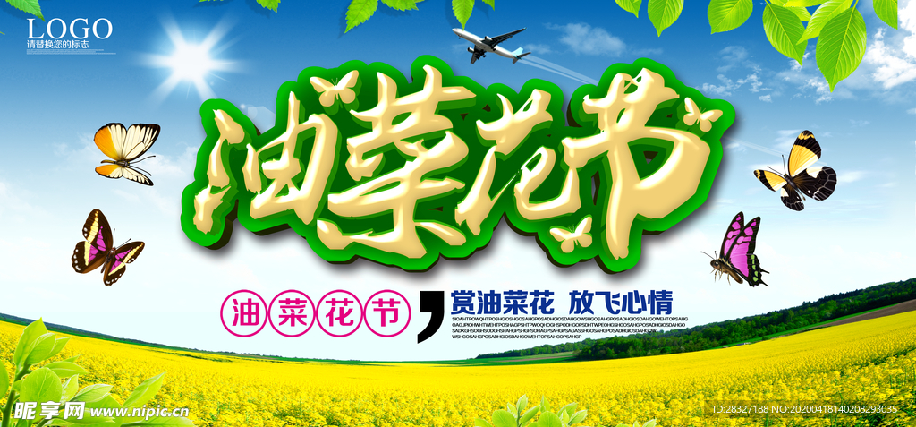 油菜花