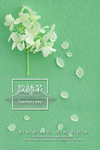 教师节