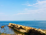 海岸