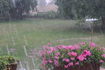 夏日的雨