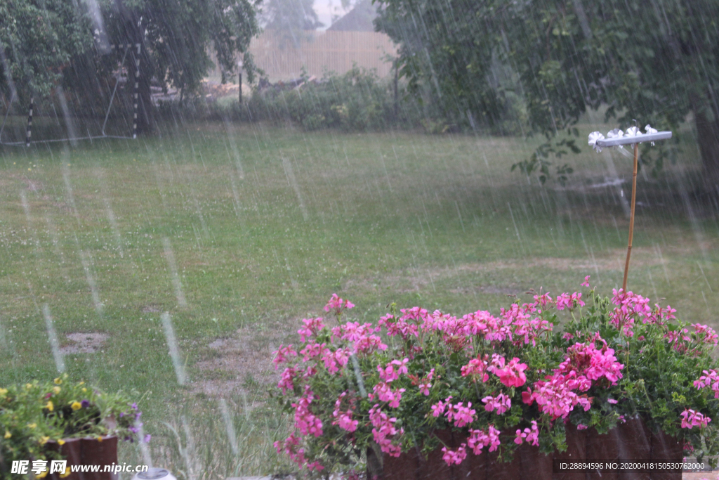 夏日的雨