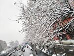 大雪过后