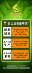 什么是精酿啤酒