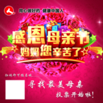 感恩母亲节