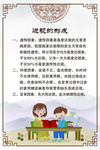 近视的形成
