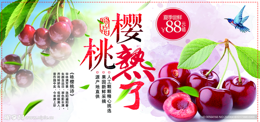 樱桃红了
