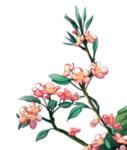 花卉背景