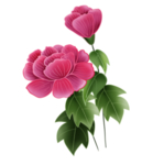 水彩花