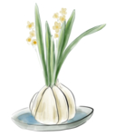 水仙花图案