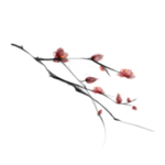 手绘花卉图案