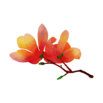 手绘花