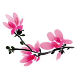 复古花卉图案