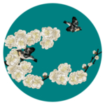 百花背胶