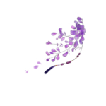 薰衣草