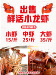 出售鲜活小龙虾设计模板