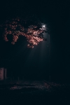 夜晚街道