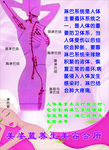 美姿蓝养生