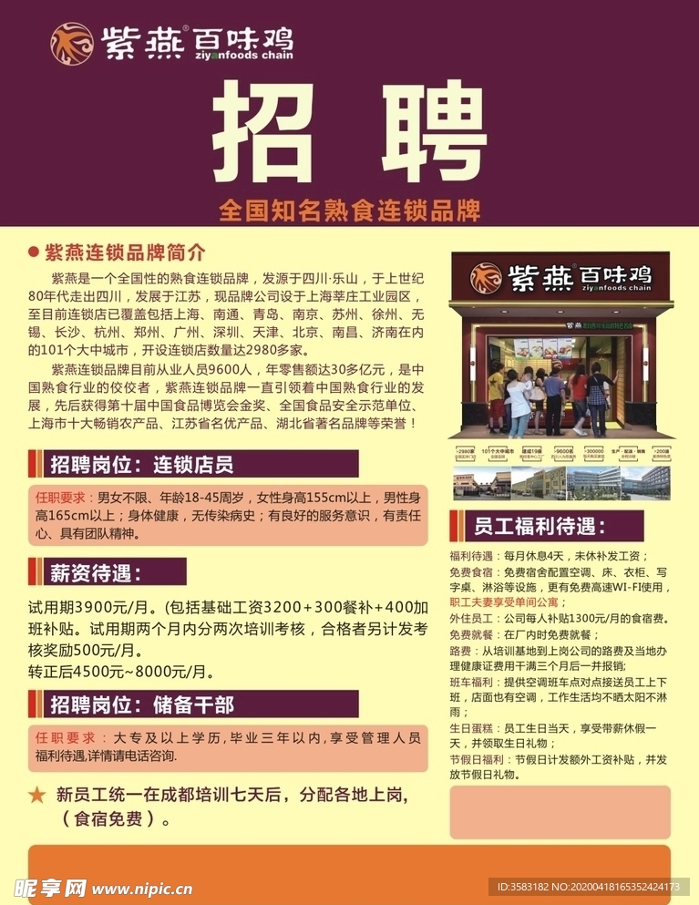 紫燕海报