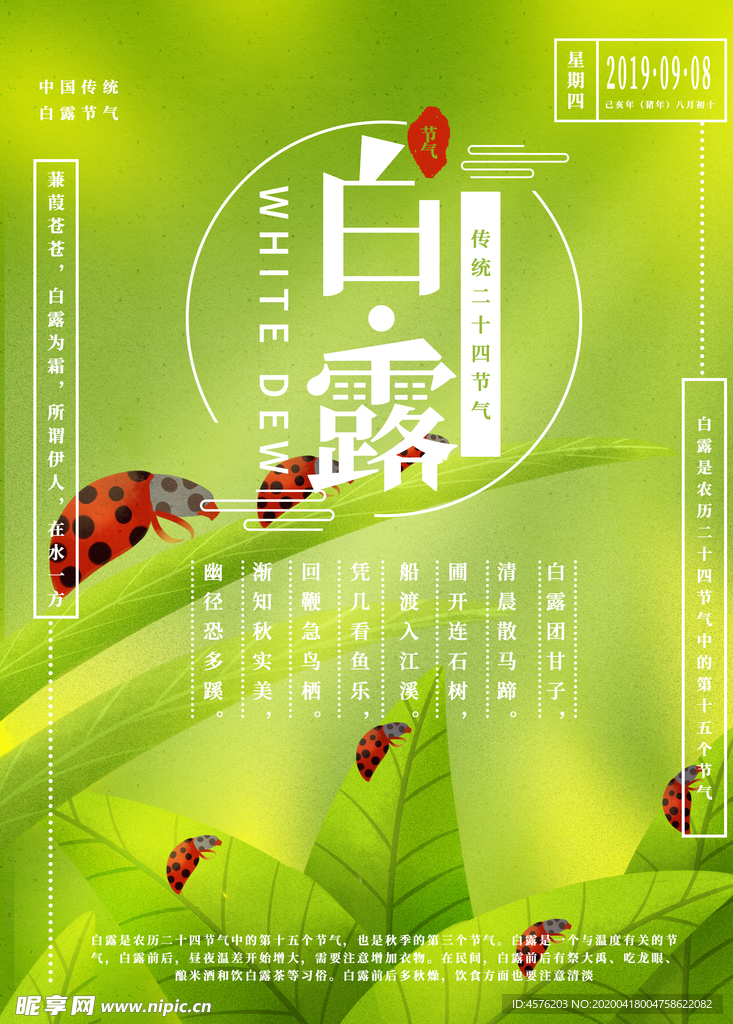 白露海报
