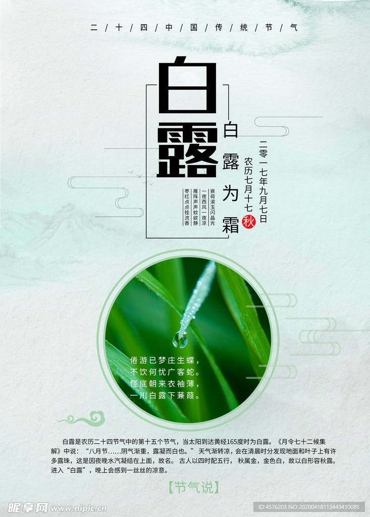 白露海报