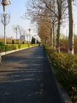 马路