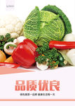 蔬菜海报