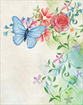 蝴蝶插画