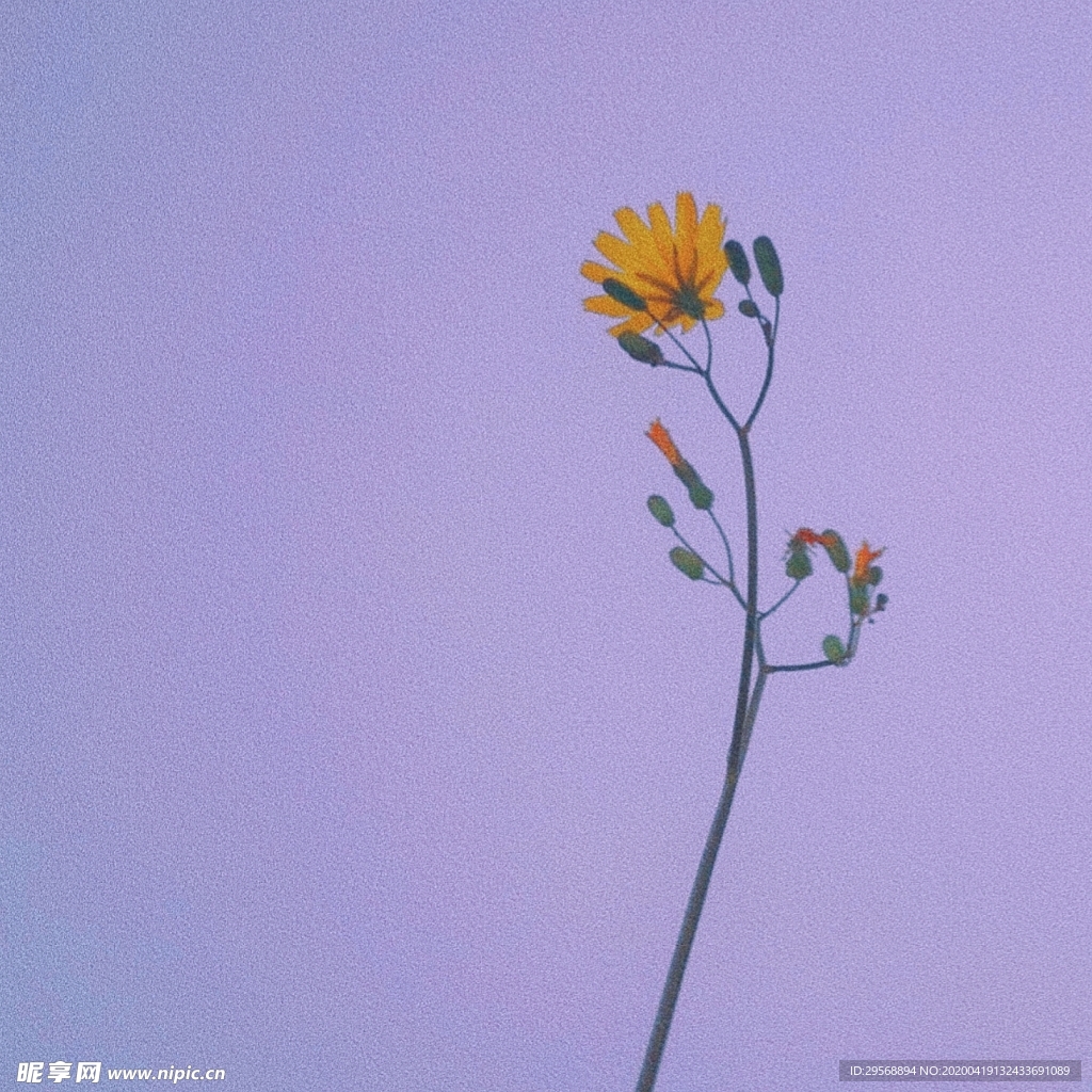 花