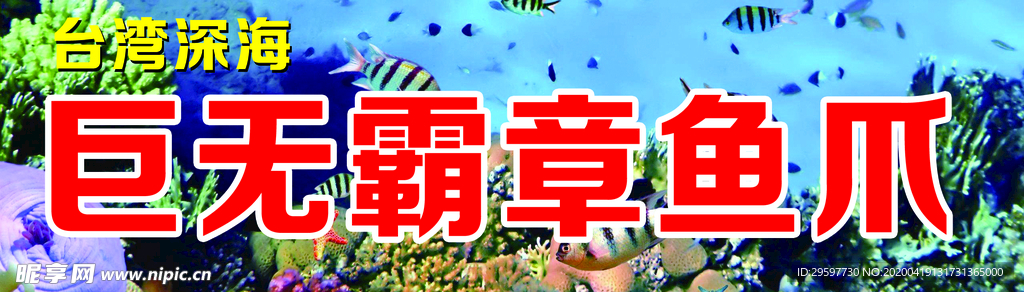 巨无霸章鱼爪