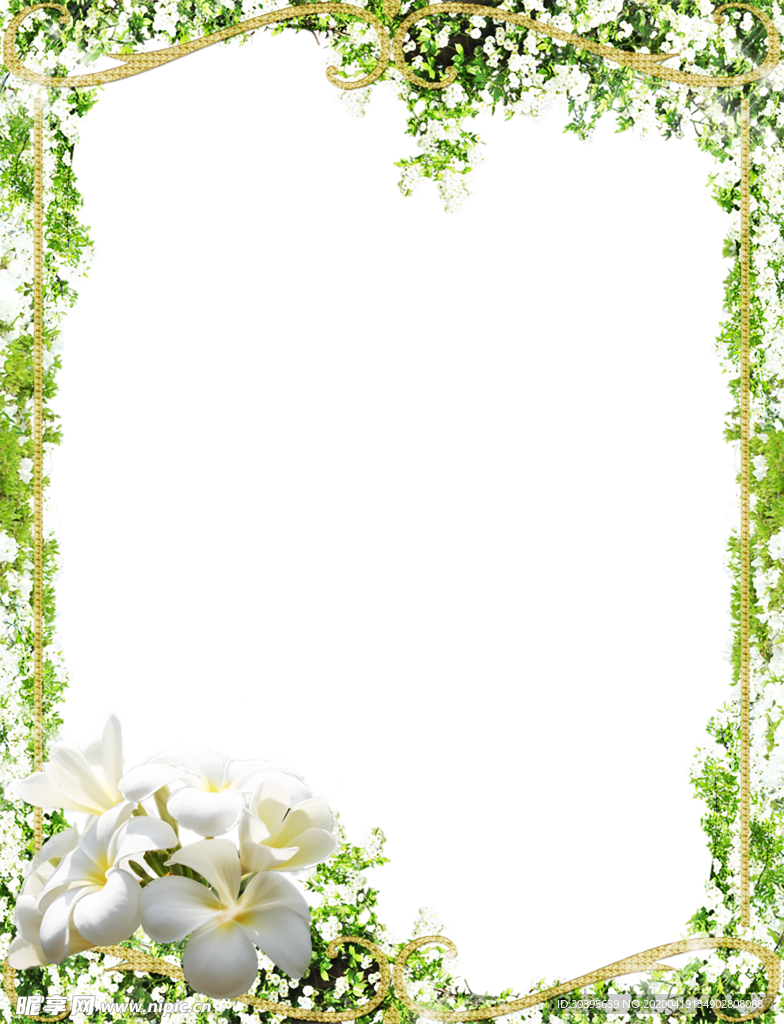 花边素材