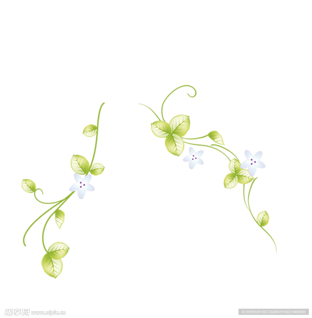 花边素材