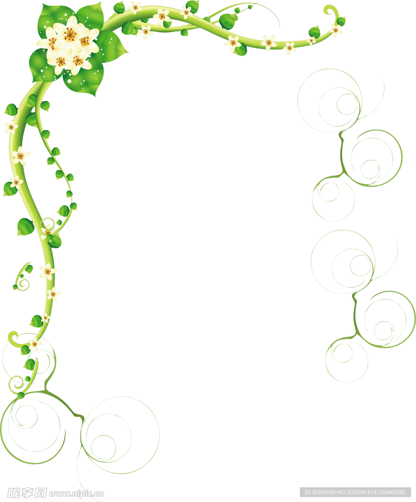 花边素材
