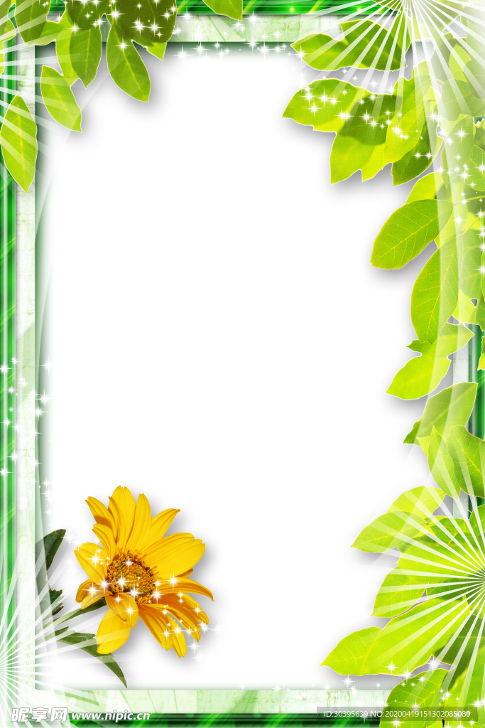 花边素材