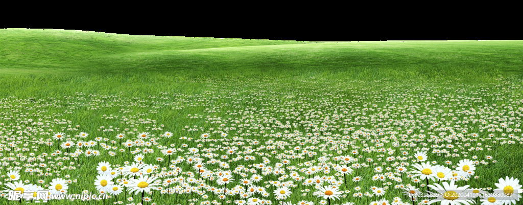 花边背景