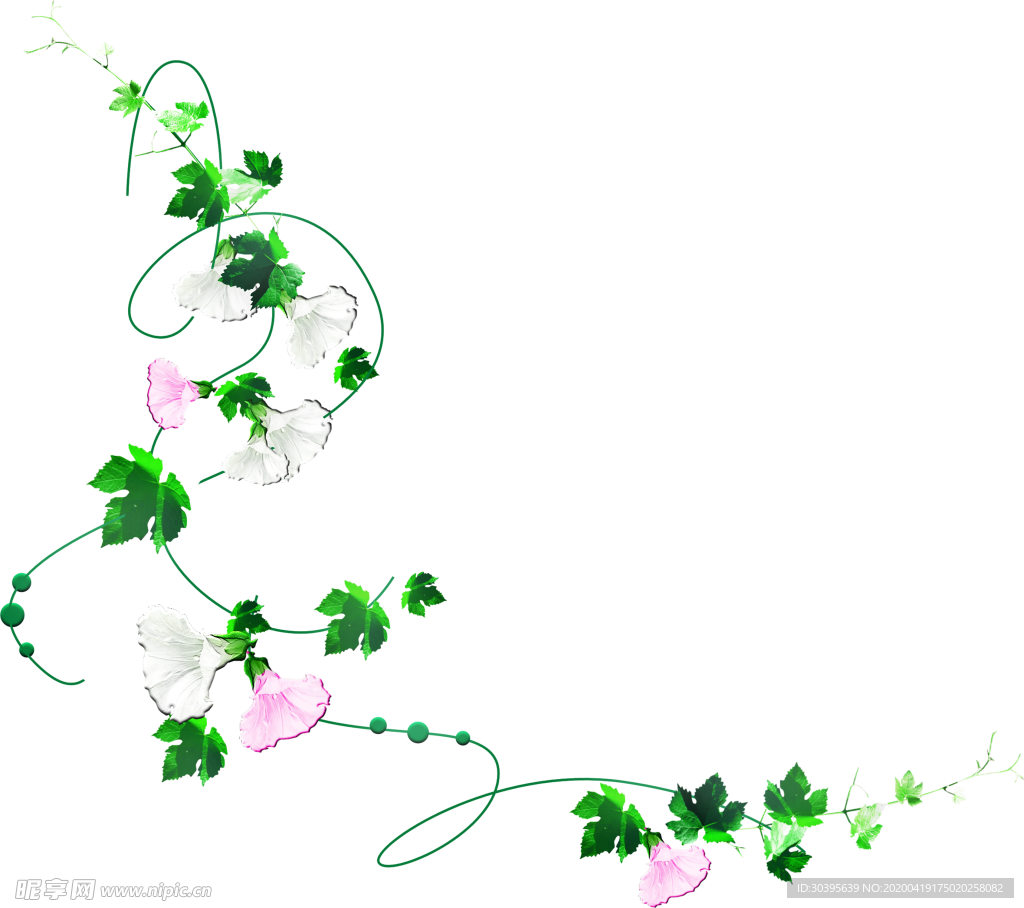花边背景
