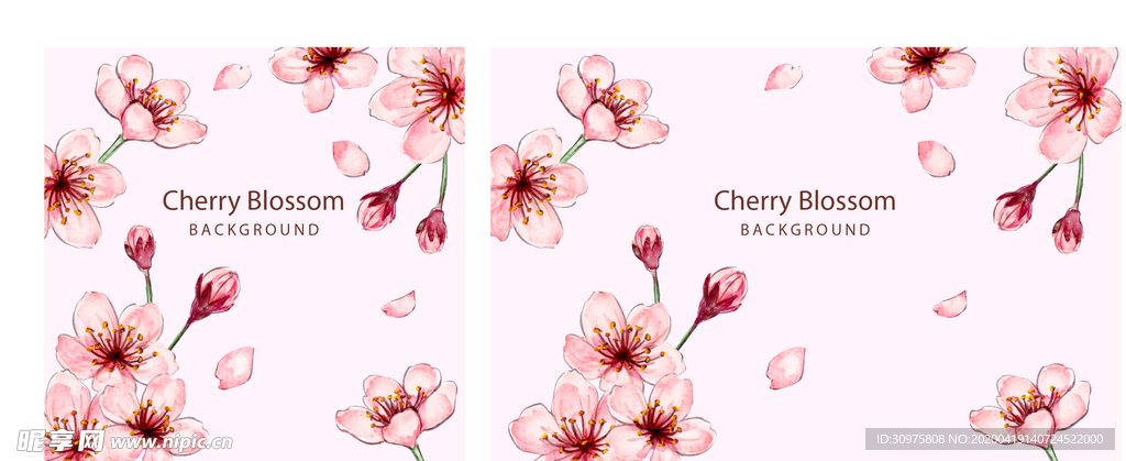 樱花