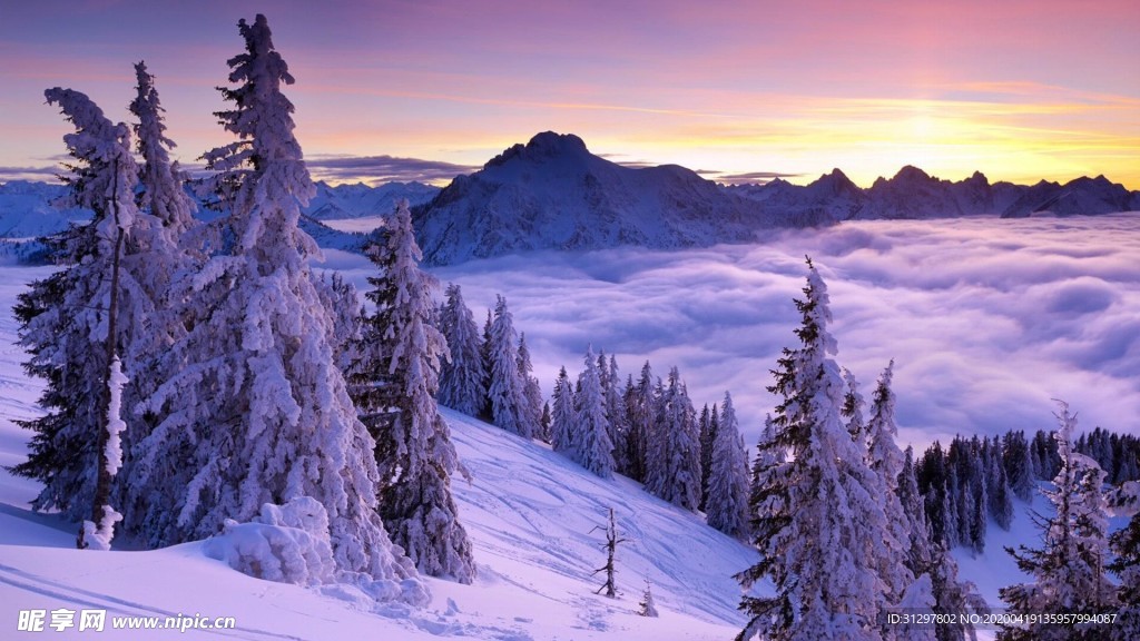 雪景 冰雪世界