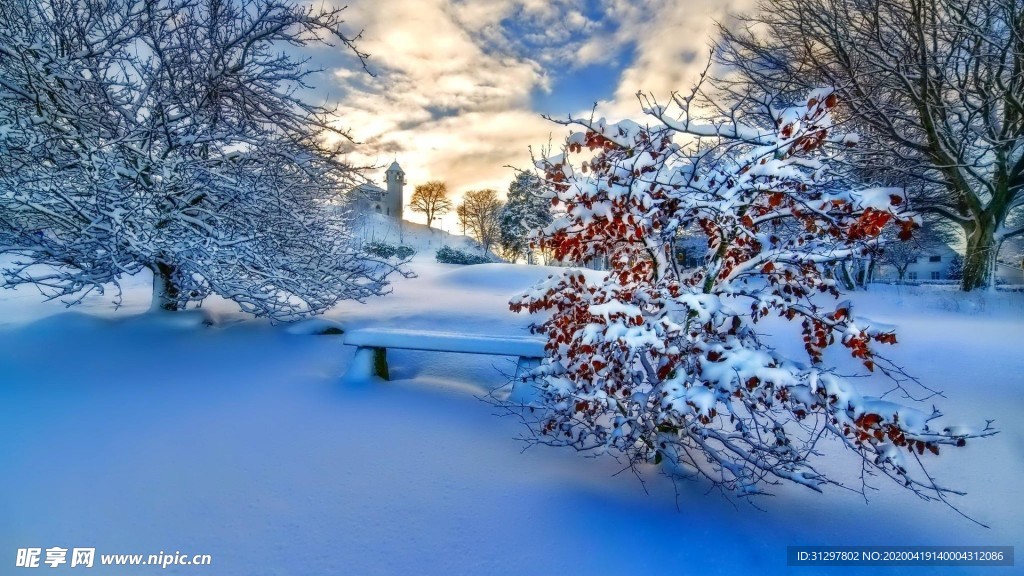 雪景 冰雪世界