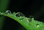 水珠