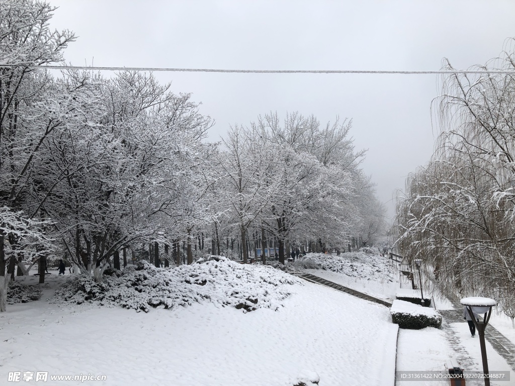 冬天的雪景