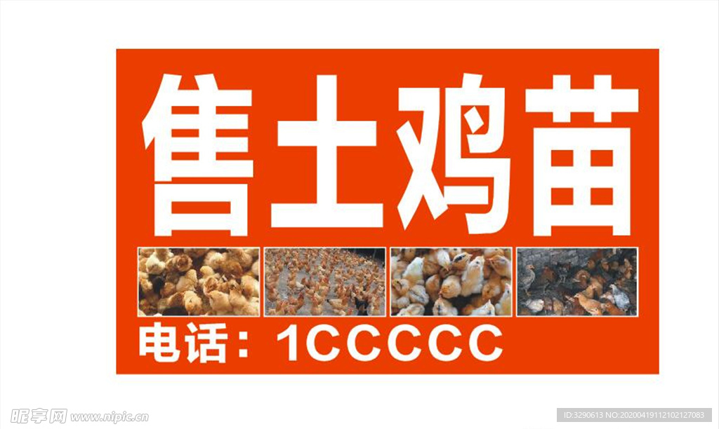 售土鸡苗