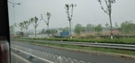 草 树 路边 天空 阴天 宇宙