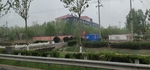 草 树 路边 天空 阴天 宇宙